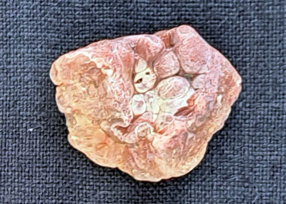 ms-chert-gravel-fossils-botryoidal-geode-fragment-3